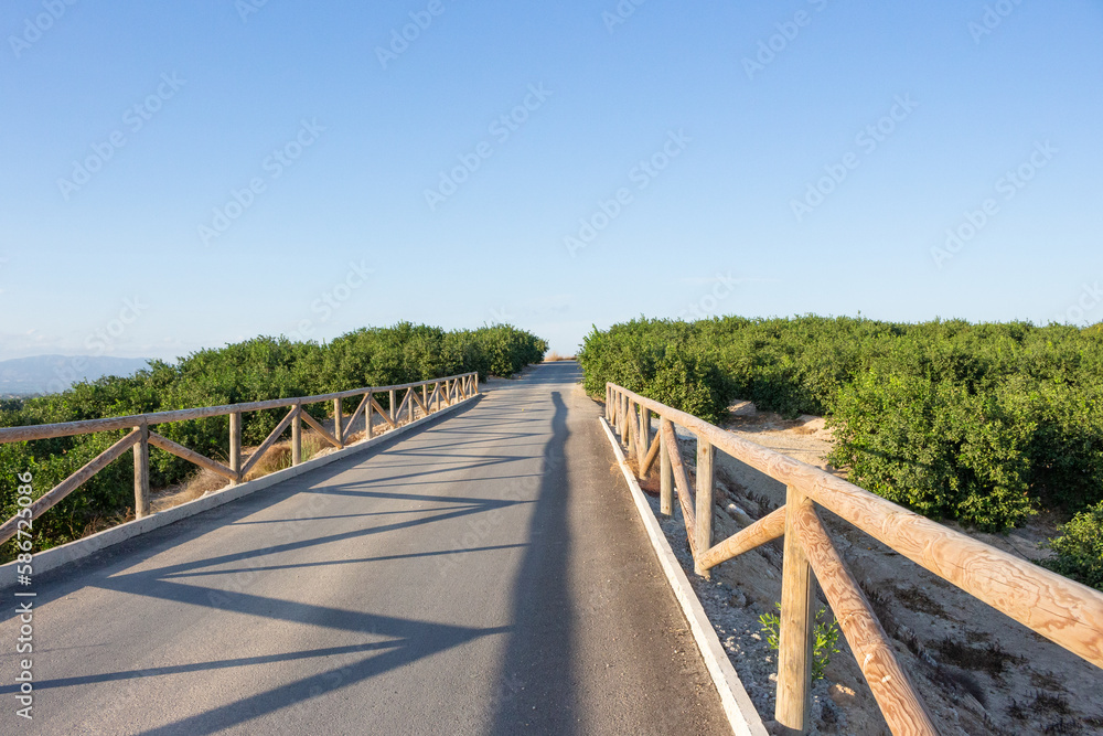 Fototapeta premium Vega Baja del Segura - Algorfa - Paisajes desde Algorfa de la huerta y sierras de Callosa y Orihuela
