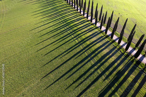 Aerial photographic documentation of the cypresses of the Val Di Orcia