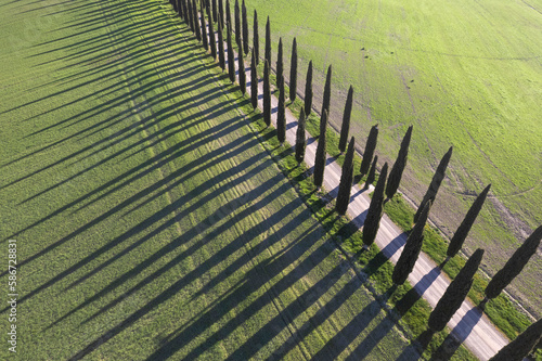 Aerial photographic documentation of the cypresses of the Val Di Orcia