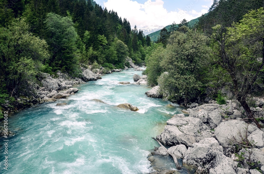 Fototapeta premium Beautiful blue apline river Koritnica, popular outdoor destination, Bovec, Slovenia, Europe.