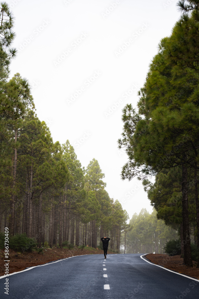 Stunning view of a girl walking on a road that crosses a beautiful forest. Pico de las Nieves, Gran Canaria, Canary Islands.