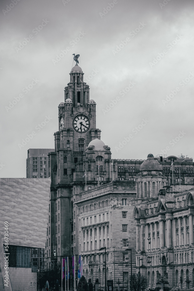 Obraz premium old town hall, Liverpool
