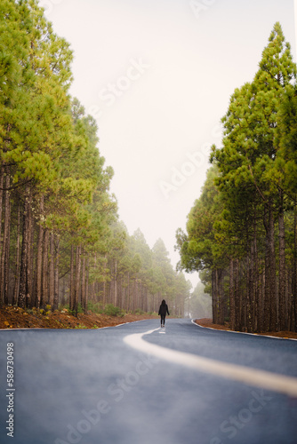 Obraz na płótnie Stunning view of a girl walking on a road that crosses a beautiful forest. Pico de las Nieves, Gran Canaria, Canary Islands. w salonie
