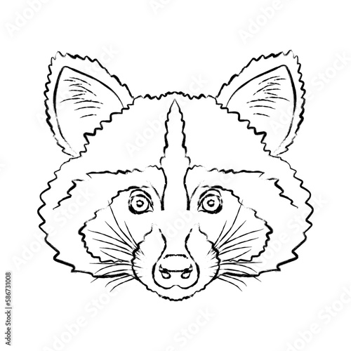 vector outline muzzle of a raccoon, torn edge black stroke