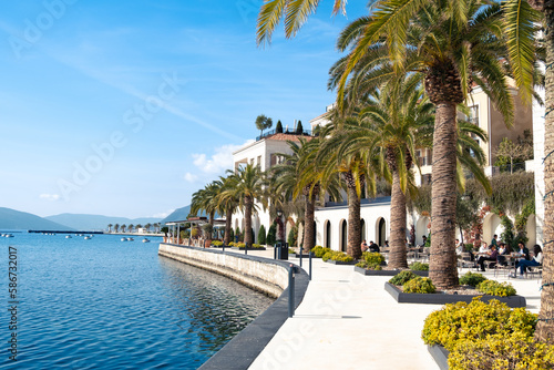 Beautiful sea embankment with palm trees on a sunny day in Porto Montenegro, Tivat, Kotor bay.
