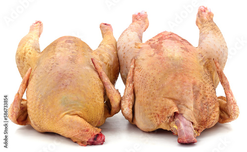 Two raw chickens.