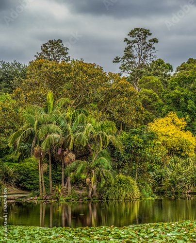 Botanic Gardens  Wollongong  NSW  Australia