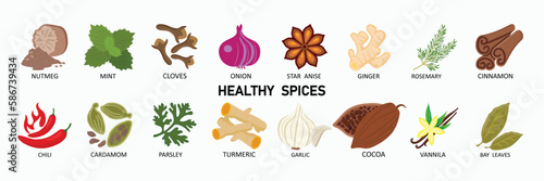 Spices icon set, flat style