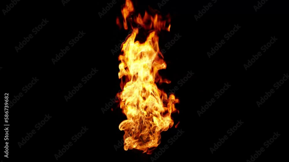 The graceful shapes of the fire flutter against the black background. The graceful shapes of the fire flutter against the black background.