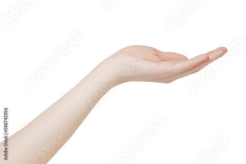 Hand of young woman with flat palm presenting product, offer and giving gesture, blank copy space on transparent background