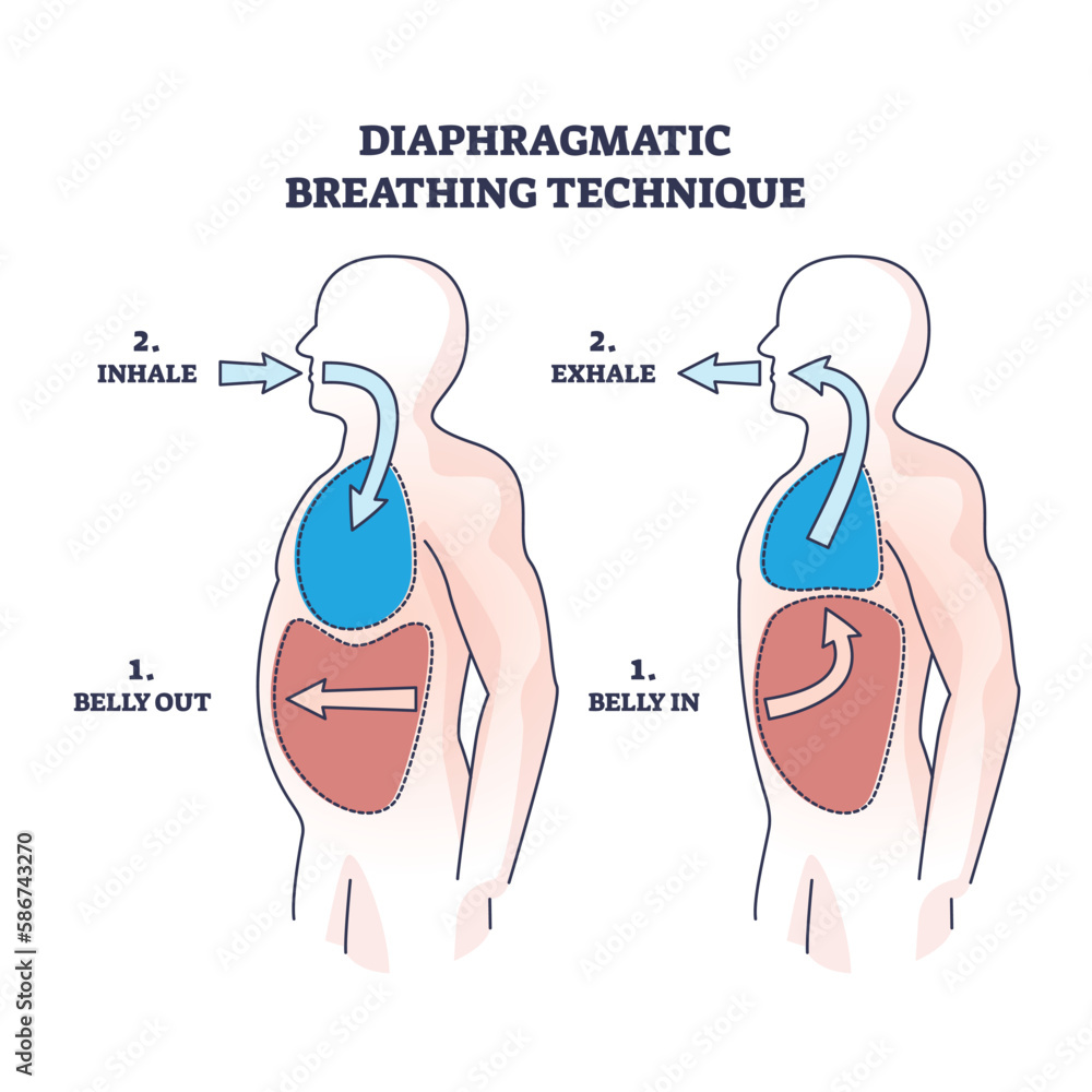 Diaphragmatic breathing technique with inhale and exhale outline diagram. Labeled educational scheme with anatomical lung and belly movement or position vector illustration. Respiratory flow practice - obrazy, fototapety, plakaty 