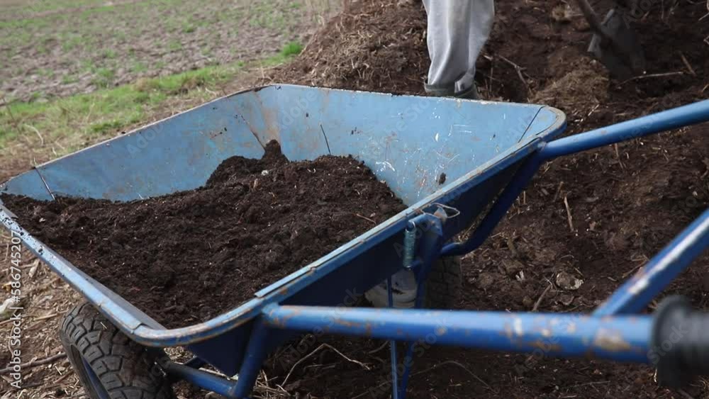Video Stock Compost in garden wheelbarrow. Loading compost from compost