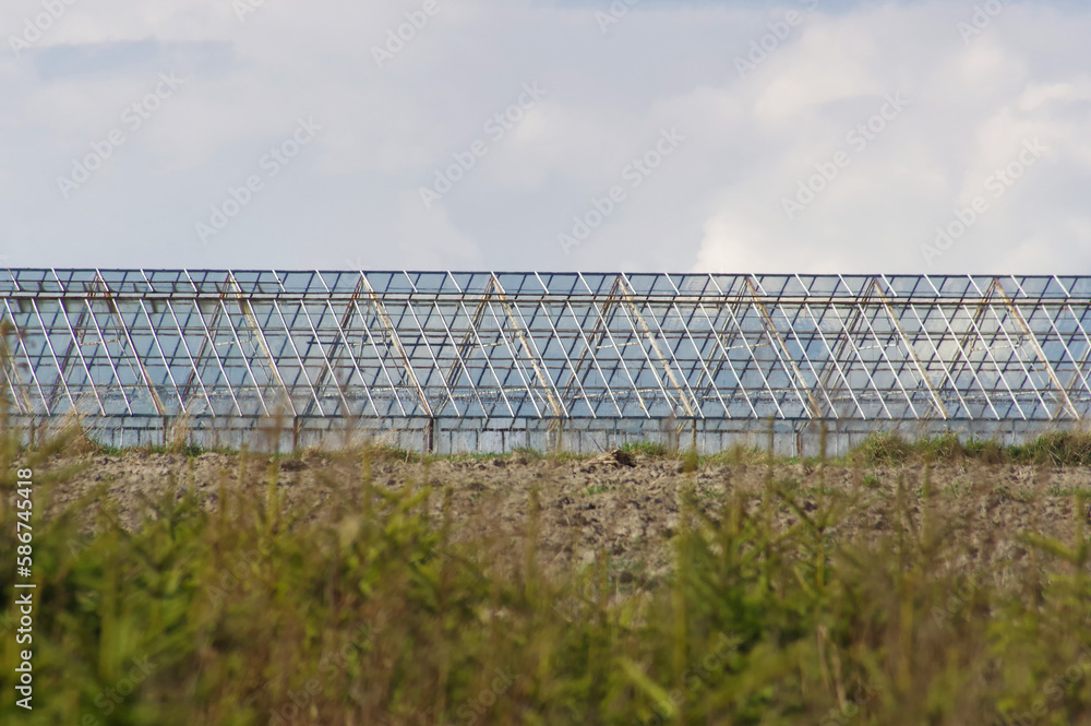 Naklejka premium Opuszczona szklarnia do produkcji warzyw.