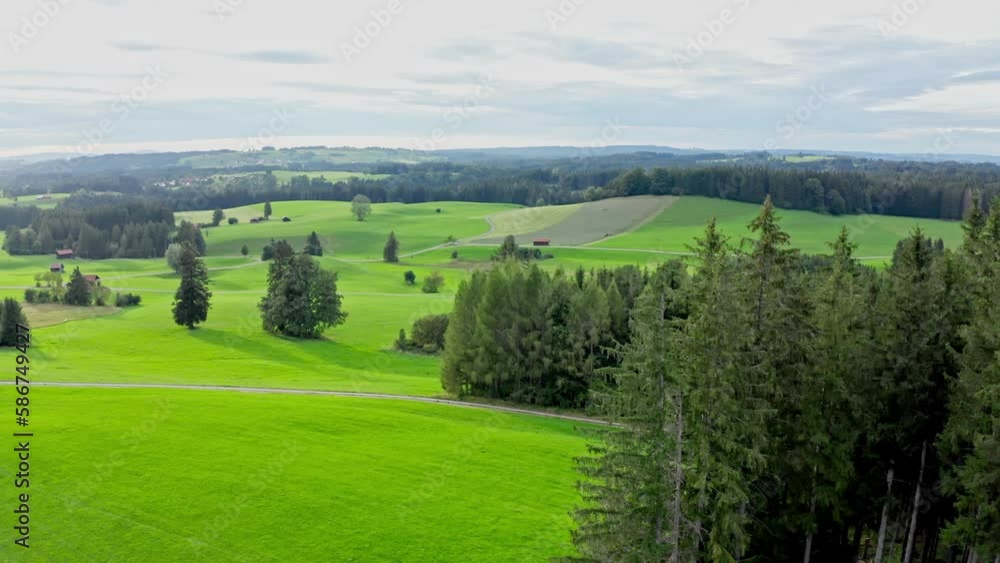Aerial view of Allgäu region, Germany. Verdant valleys with calves ,that contrast beautifully with the majestic Alps in the background. Aerial view of Allgäu region, Germany. Verdant valleys with calves ,that contrast beautifully with the majestic Alps in the background.