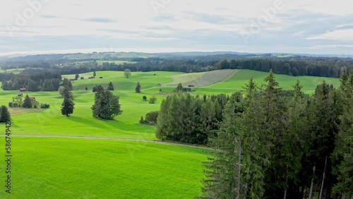 Aerial view of Allgäu region, Germany. Verdant valleys with  calves ,that contrast beautifully with the majestic Alps in the background. 