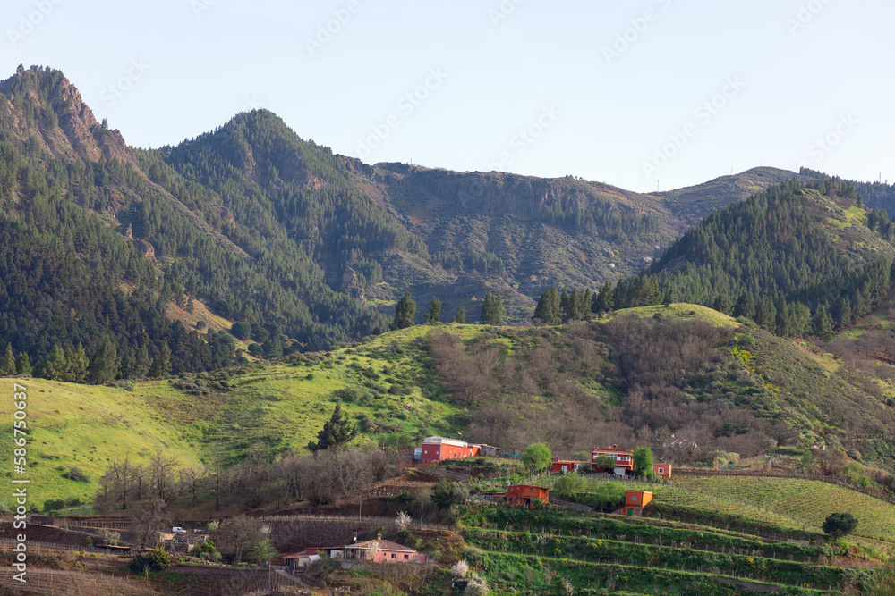 Small village situated at mountain . Idyllic mountainous landscape with gardens and forest 