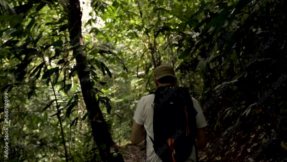 Un homme fait une Randonnée dans la forêt tropicale Un homme fait une Randonnée dans la forêt tropicale