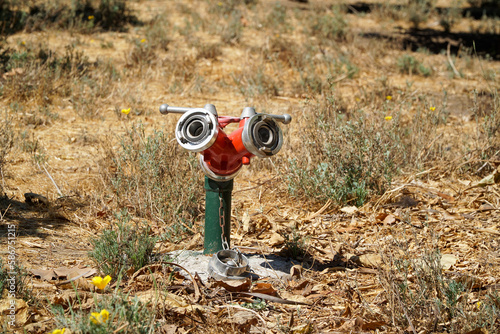 Fotografie Fire hydrant