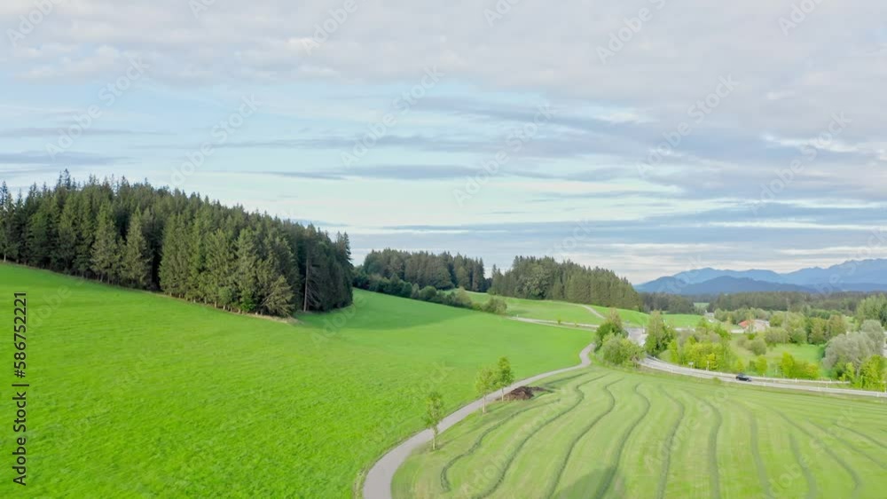 Aerial view of Allgäu region, Germany. Verdant valleys with calves ,that contrast beautifully with the majestic Alps in the background. Aerial view of Allgäu region, Germany. Verdant valleys with calves ,that contrast beautifully with the majestic Alps in the background.