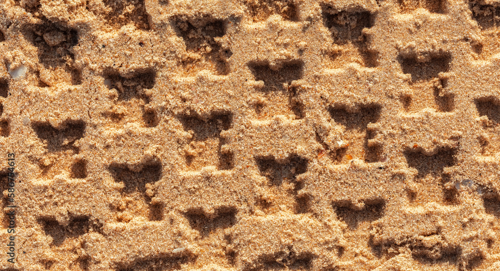 The tread marks of the car in the sand. sea sand . The tread marks of the car in the sand. sea sand .