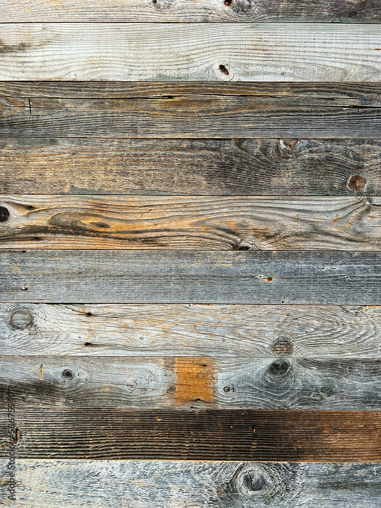 wood texture different colours wood texture different colours