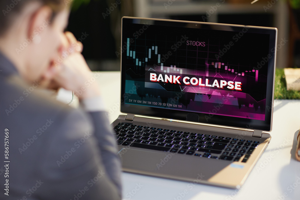 Seen from behind woman with laptop and bank collapse screen - obrazy, fototapety, plakaty 
