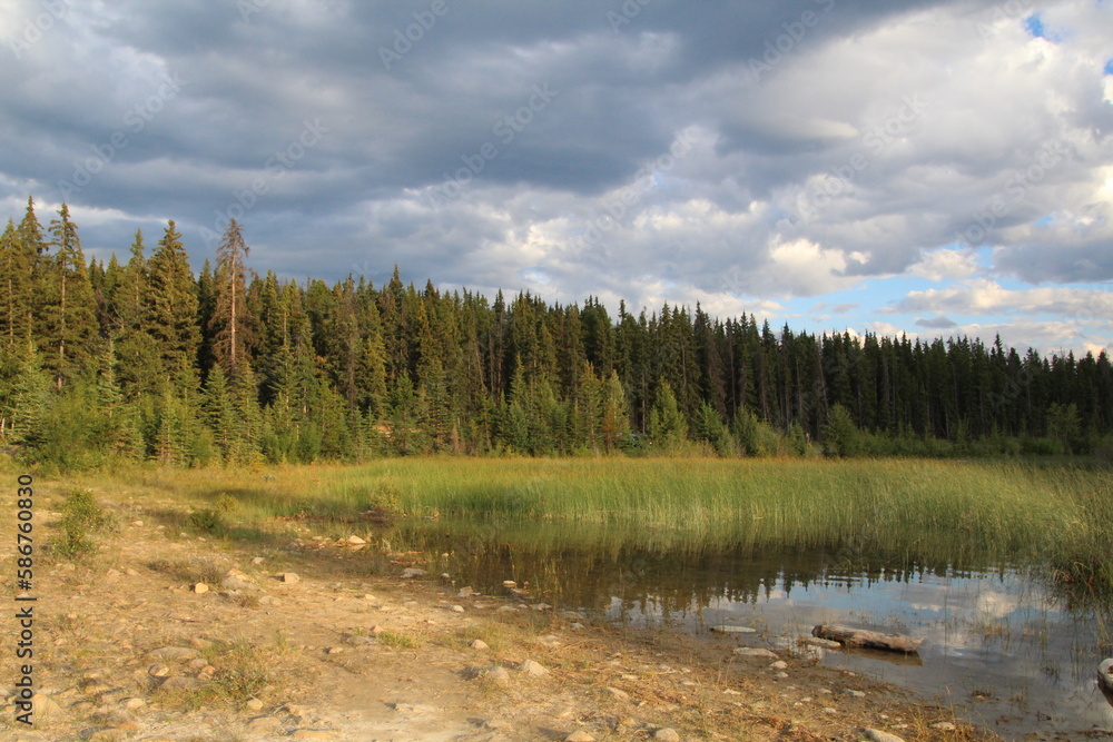 Evening In Mountains, Jasper National Park, Alberta Evening In Mountains, Jasper National Park, Alberta