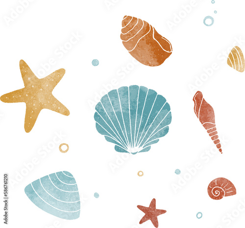 Seashells hand drawn illustration. Sea elements hand drawn illustration photo