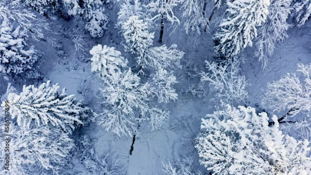 Snowy forest aerial view, Austria. Top view Snowy forest aerial view, Austria. Top view