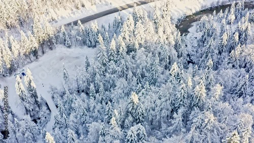 Snowy forest aerial view, Austria. Top view
