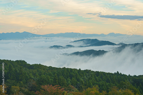 美の山公園の雲海 © hide_rabbit