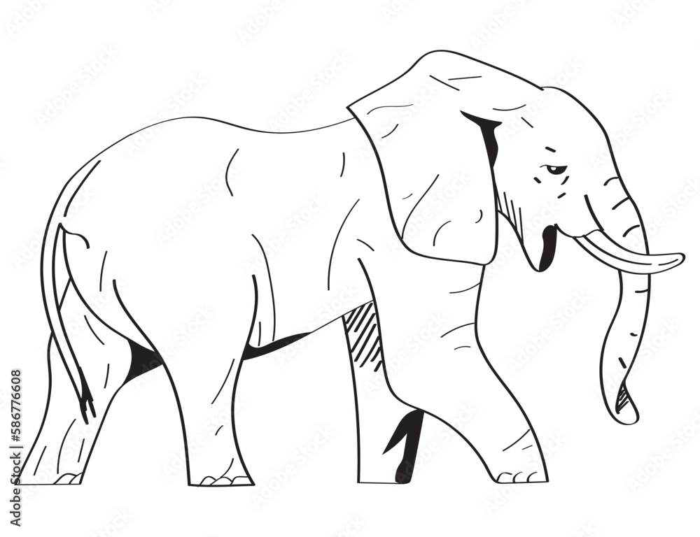 elephant animal monochrome style