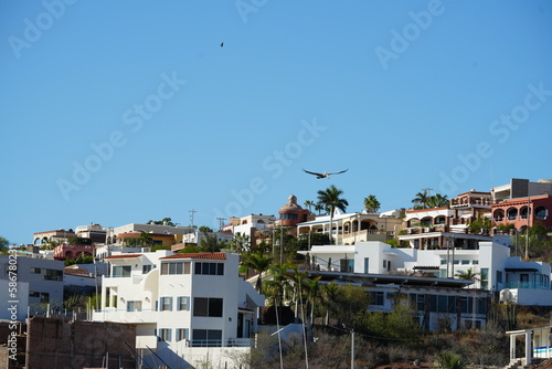a pelican flies over an area of ​​houses on the hill © Antonio