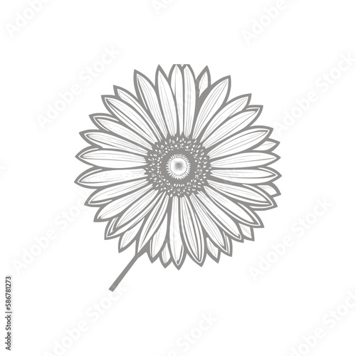 Wonderful flower. Vector illustration. Coloring book page for adult.Sunflower coloring line art.