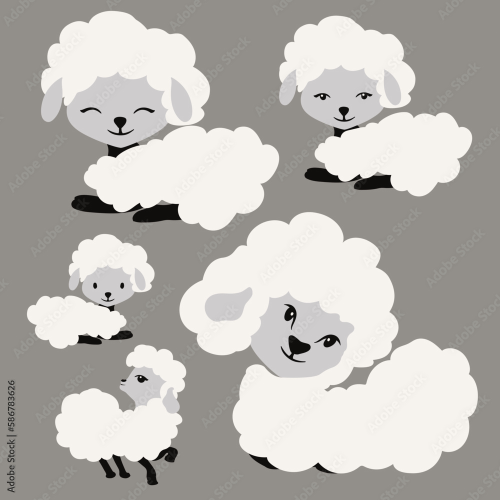 sheep and lambs sheep and lambs