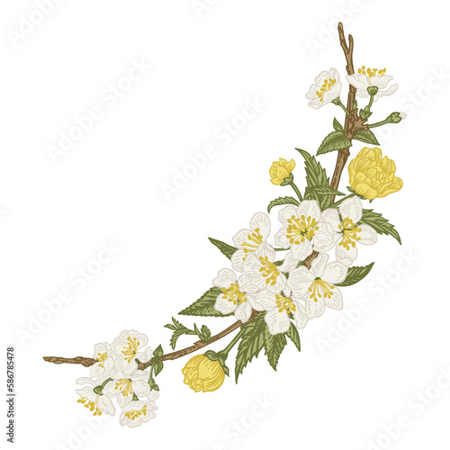 Flower wreath. Blooming garland. Cherry, hawthorn, kerria. Compositions with plant elements. Vintage illustration. Colorful.