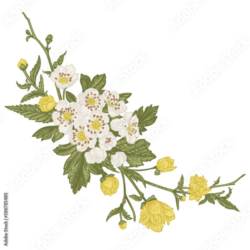 Flower wreath. Blooming garland. Cherry, hawthorn, kerria. Compositions with plant elements. Vintage illustration. Yellow and green.