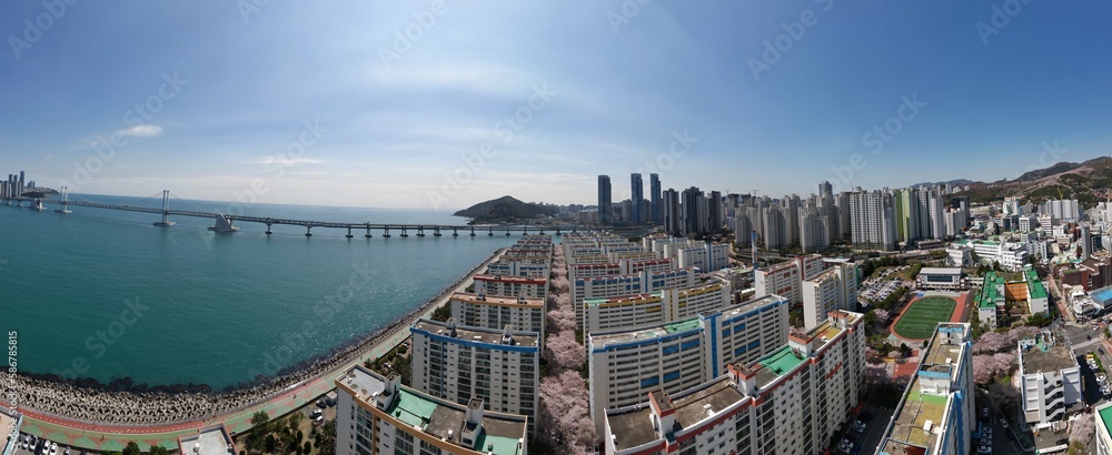 Fototapeta premium 아파트 벗꽃길