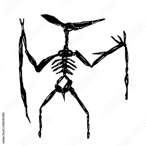 black and white pteranodon skeleton