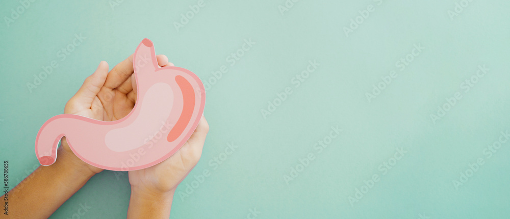 Εκτύπωση καμβά Hands holding stomach paper cut, stomach cancer, Gastric cancer, digestive syste