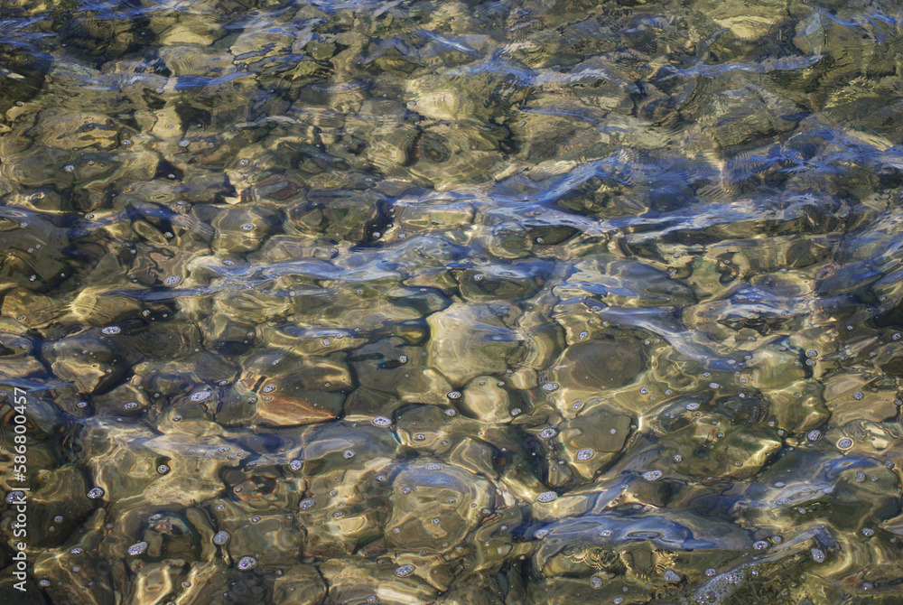 Rocky bottom in water. An apparently blurry image due to the wavy motion of the water surface.
