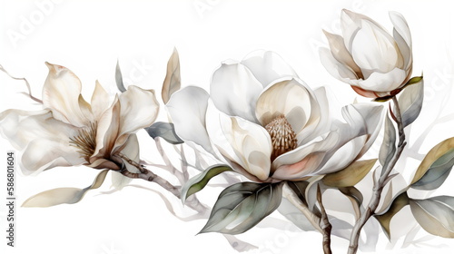 Fototapeta Naklejka Na Ścianę i Meble -  watercolor magnolia blooms on white background, made with generative ai