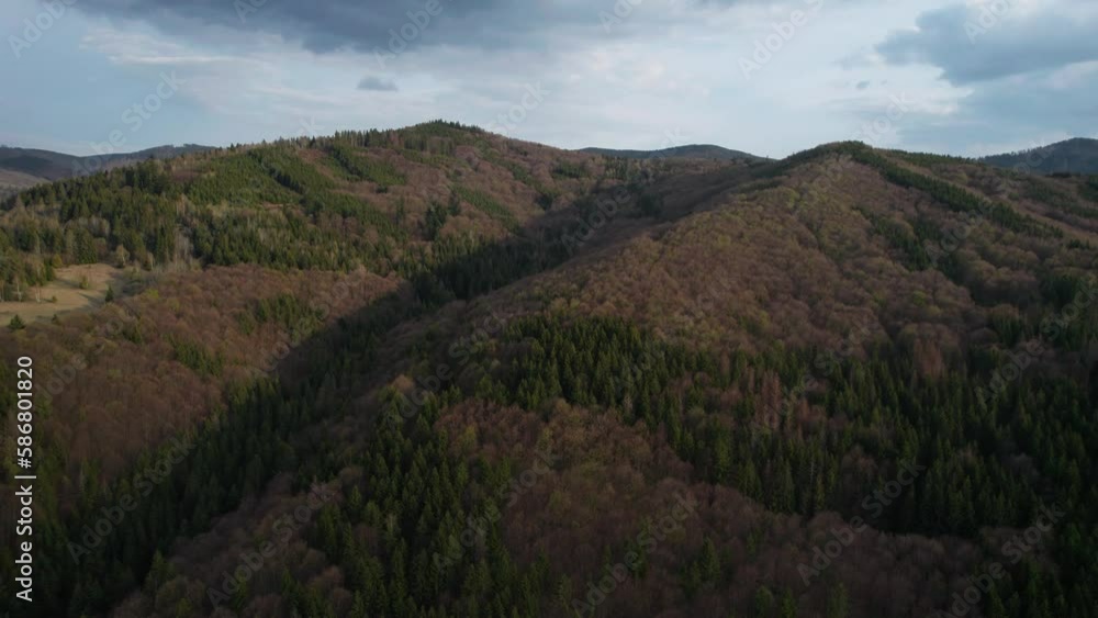 Wilderness of Slovakia, low tatra mountain forest landscape, aerial view