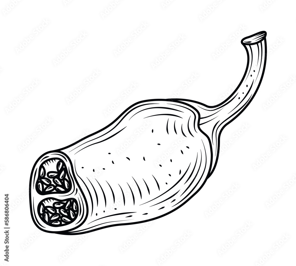 chili spice icon