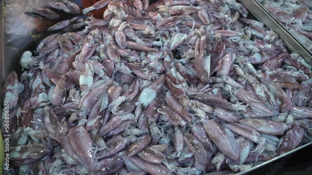 People are shopping for big octopus at the market. People are shopping for big octopus at the market.