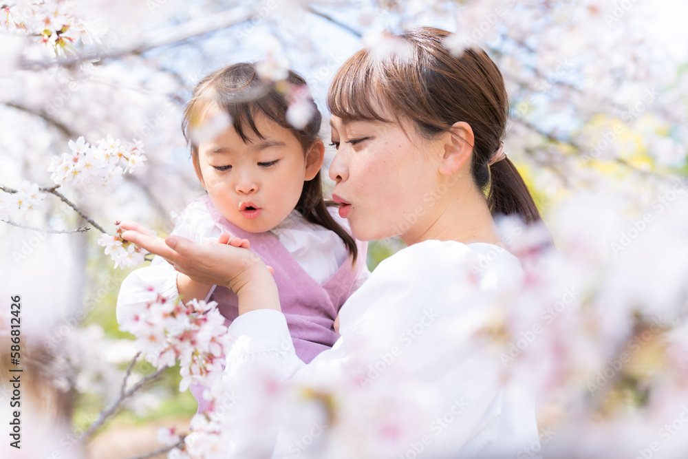 桜と母娘 桜と母娘