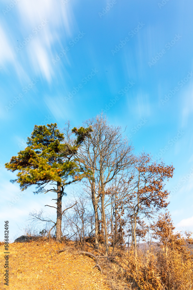 Obraz premium 저수지