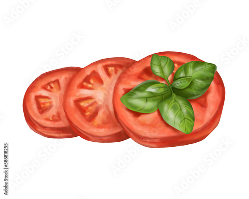 A composition of slices of red tomato with a sprig of basil. Digital illustration on a white background. For compositions, prints, stickers, posters