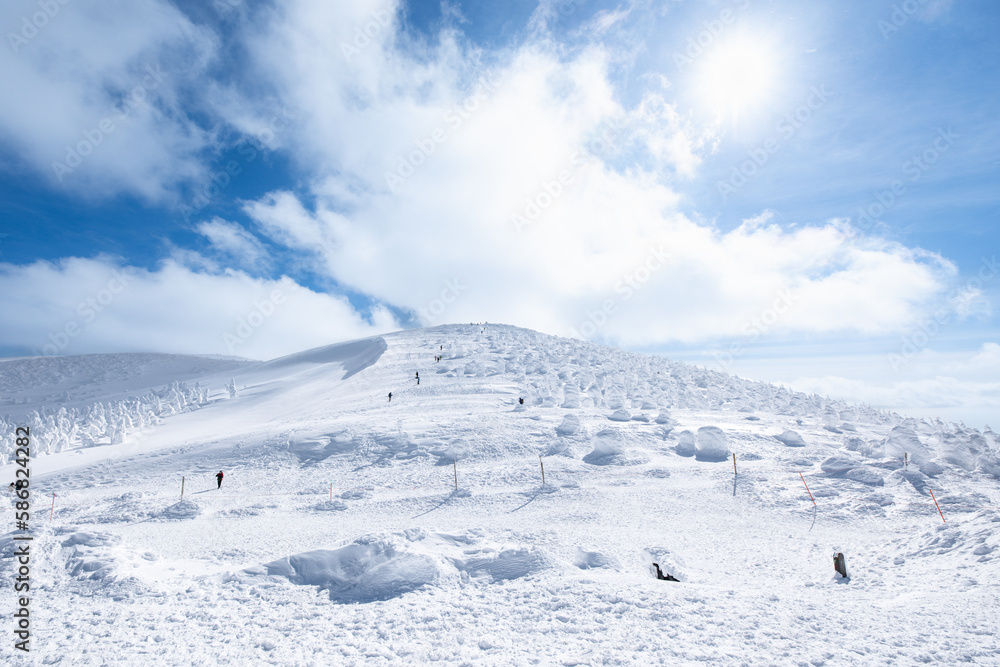 山形蔵王白銀世界の地蔵岳の樹氷 山形蔵王白銀世界の地蔵岳の樹氷
