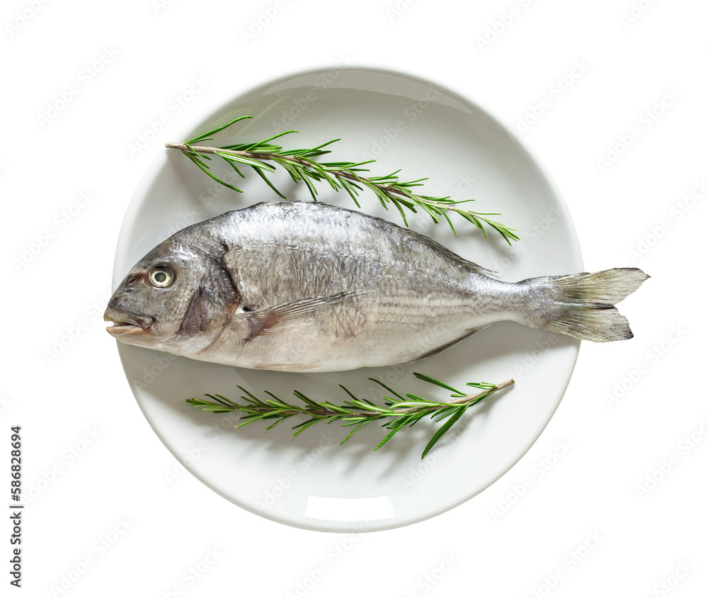 Dorado, raw fresh uncooked fish, rosemary, on plate, top view, isolated on white background with clipping path